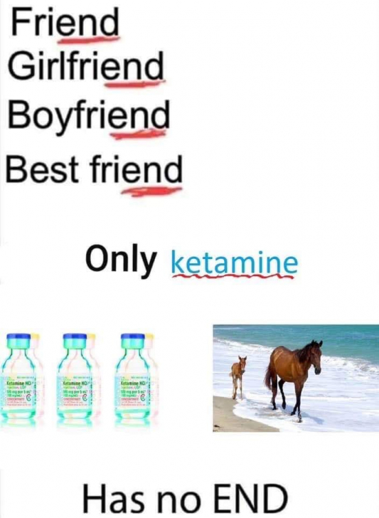 249923362_213701477477568_8813533935976564432_n (1).jpg