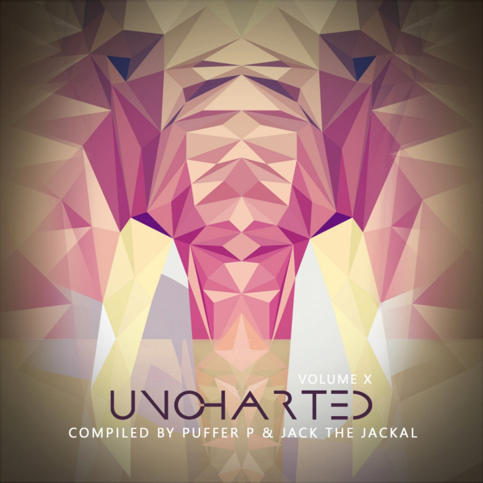UNCHARTED, VOL. 10 Various Artists